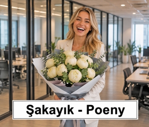 sakayik