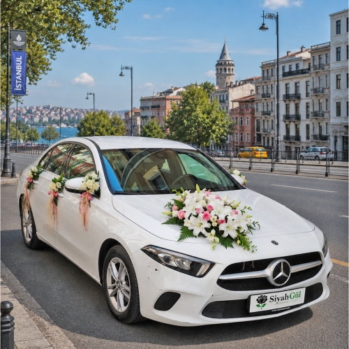 Gelin Arabası Süsleme (Hızlı Bilgi Tel:0 850 8401266)