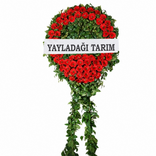 Cenaze Çelengi Kırmızı Gerbera