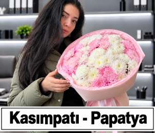 Kasımpatı Papatya