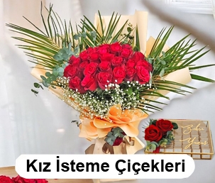 kizistemer